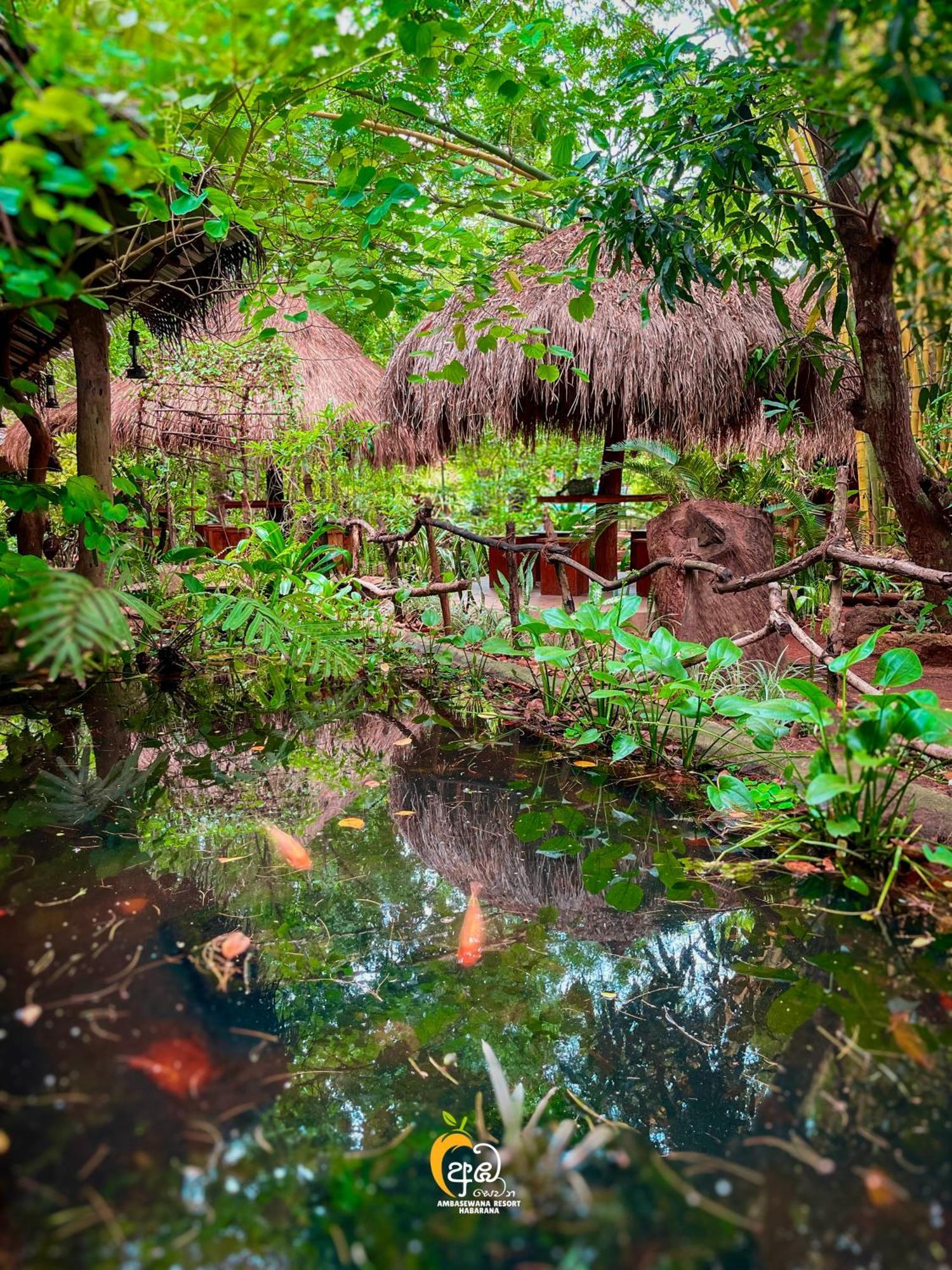 Tree House Ambasewana सहारा Habarana