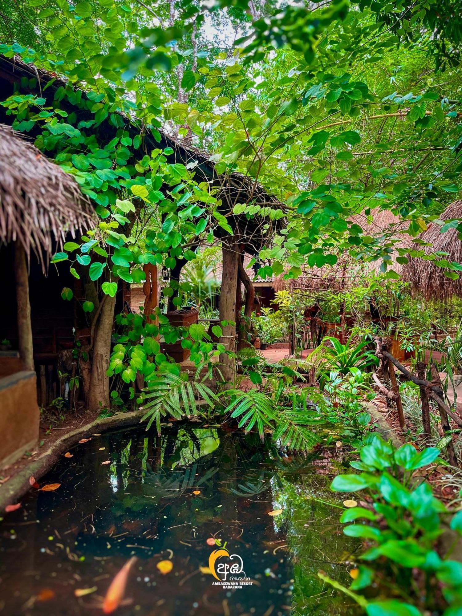 सहारा Tree House Ambasewana Habarana