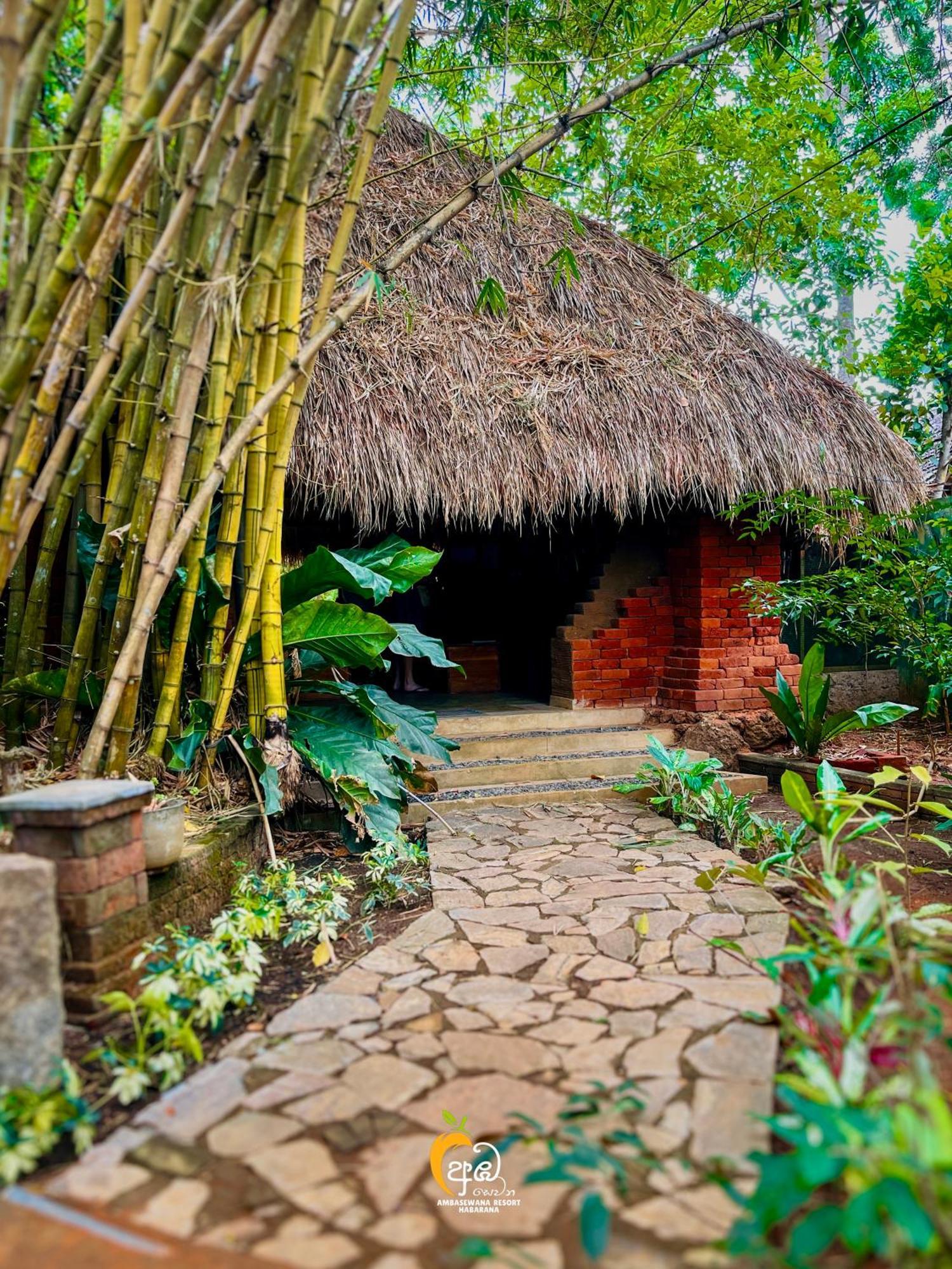 Tree House Ambasewana 3* Habarana